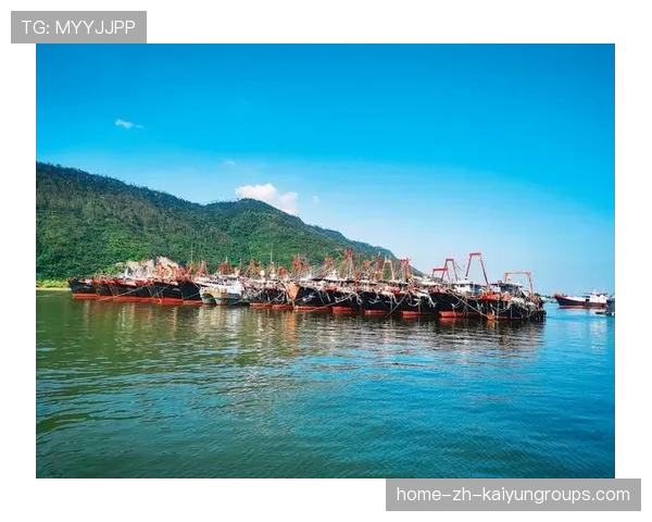 台风后惠州海滩生态复苏,海鲜大丰收,惠州台风预警 台风后惠州海滩生态复苏,海鲜大丰收,惠州台风预警